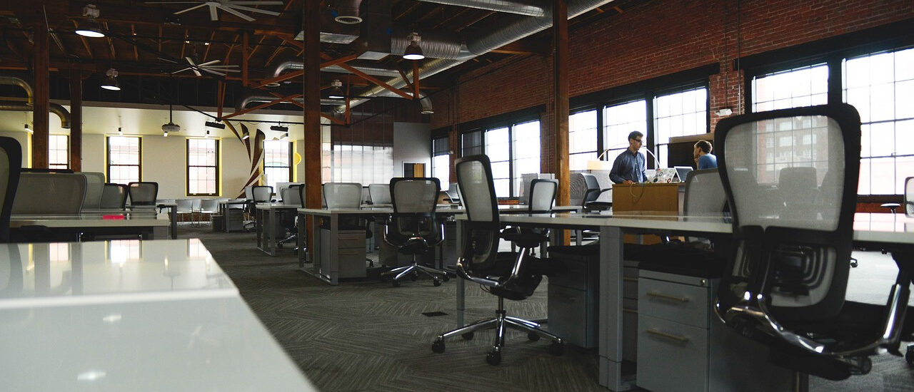 Automatycznie zapisany szkic